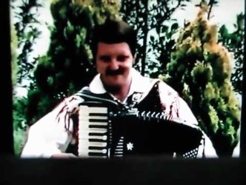 ALPSKI KVINTET / ALPENOBERKRAINER 1981 - ALPSKI POLKA