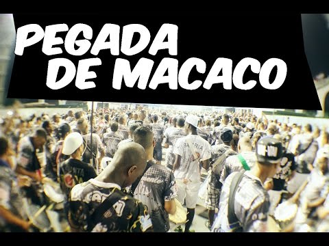 Vai-Vai  - Pegada de Macaco Ensaio Técnico 16/01/2015