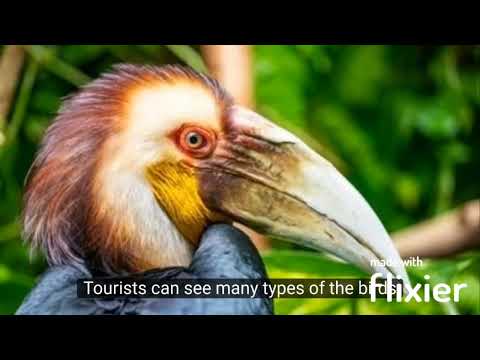 Kampong Speu, Cambodia II (by Power F5 Team)