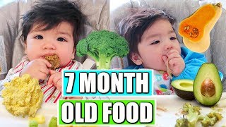WHAT MY BABY EATS IN A DAY | 7 MONTHS OLD