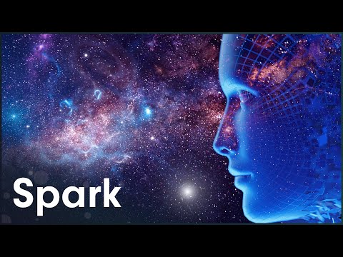 Journey of the Universe