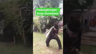 Download lagu PADUNGDUNG PANGLIPUR-ASEP GURWAWAN #panglipur #silat #unesco  #senibudayapencaksila mp3