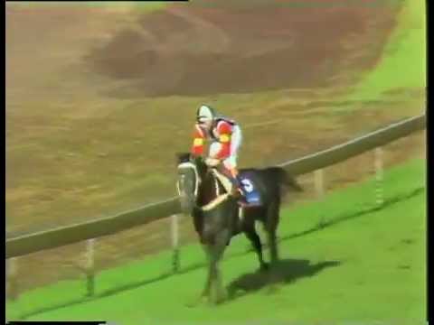 Japan Cup 1989 - Making a Horlicks of the cup