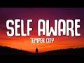 Temper City Self Aware Lyrics