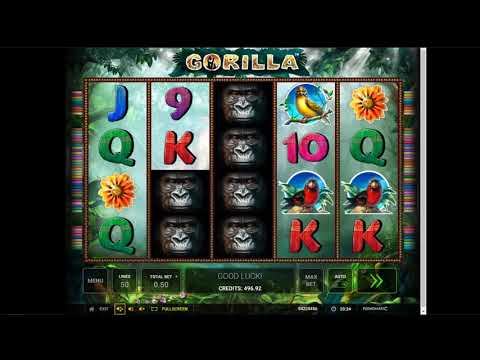 Gorilla