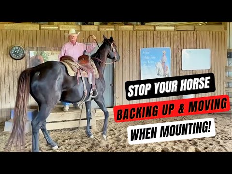 D/C  MOUNTING ISSUES  |  How To Stop Your Horse From Backing Up Or Moving When Mounting
