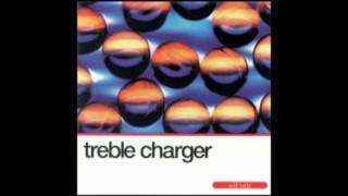 Treble Charger - Disclaimer