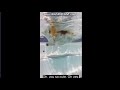 Adorable Underwater Video Of A Fluffy Corgi Swimming