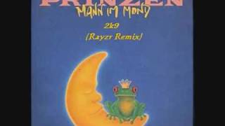 Die Prinzen - Der Mann im Mond 2k9 (Rayzr Remix)