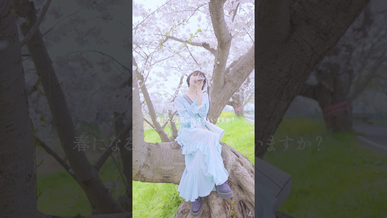 春になると思い出す人、いますか？「ゆふらり」配信中🌸 🎶📸@calen_note #歌ってみた #オリジナルmv #オリジナル曲 #春の歌 #ゆふらり #calen
