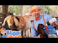 Blippi Visits A Baby Animal Farm Learn About Animals Animal Videos For Kids