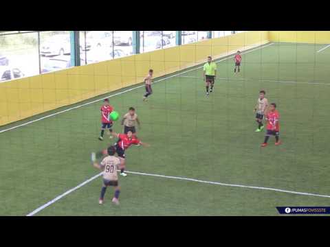 Pumas Fovissste Vs Tiburones Rojos Xalapa