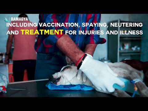 Ramagya School Gallery