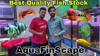 Best Quality New Fish Stock (AquaFinScape) #trending