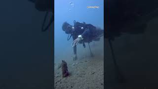 Kh&aacute;m ph&aacute; đại dương 🌝 - #shorts #nhatrang #Vietnam #AnLongBong #Diving #ocean