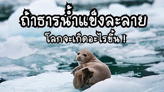 ถ้าธารน้ำแข็งละลาย จะเกิดอะไรขึ้น?