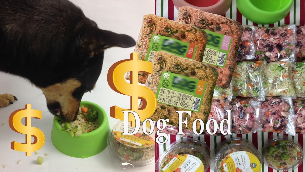 GANHE MUITO DINHEIRO COM ESSA RECEITA DE ALIMENTAÇÃO NATURAL PARA CÃES | @Alexandrealarcao