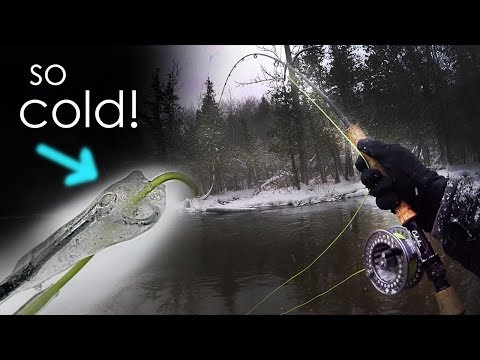 Fly Fishing in a WINTER STORM! FREEZING COLD Steelhead Action
