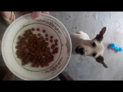 money versus pagkain😉