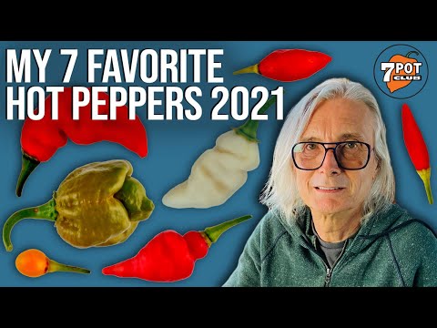 My Favorite Hot Peppers 2021 (Tasting and Review)