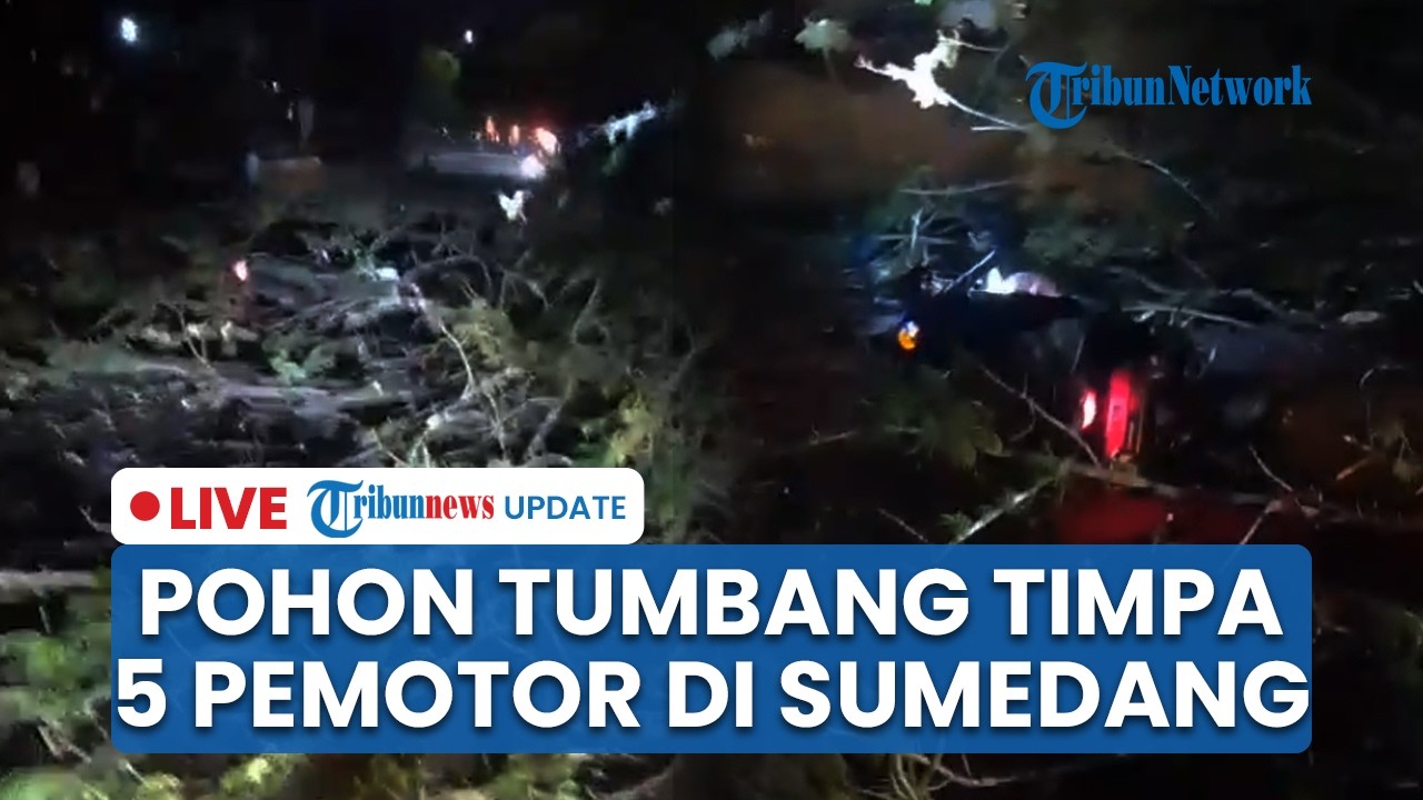 LIVE: Pohon Tumbang Timpa 5 Orang di Depan Kampus Unpad Jatinangor, Satu Orang Tewas