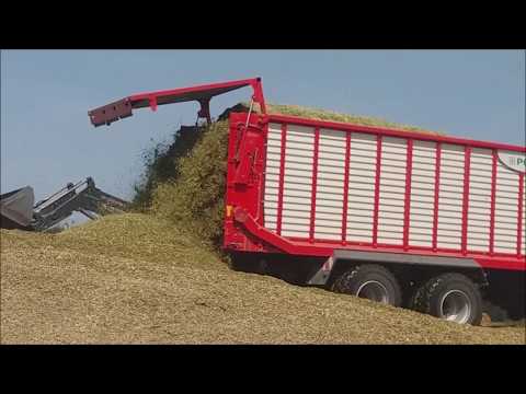 Podsumowanie sezonu 2019