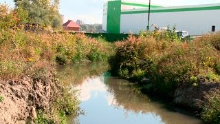 Рыбалка на ручье безымянный в пензе