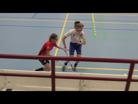 Nibacos valk - SSRA Tähtihalli Uusikaarlepyy