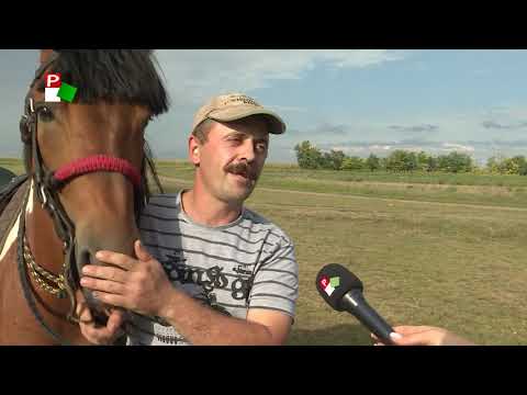 Vajdasági Futam - Hertelendyfalva