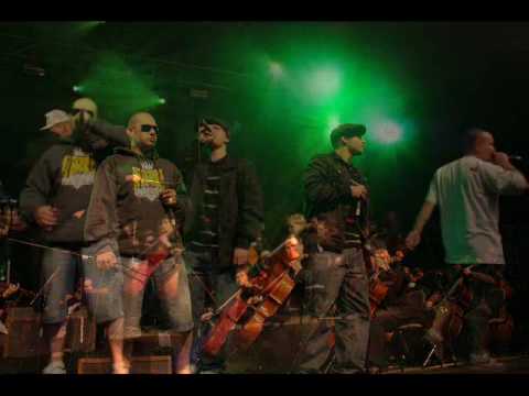 Fotorelacja z koncertu Symfonia Ulicy