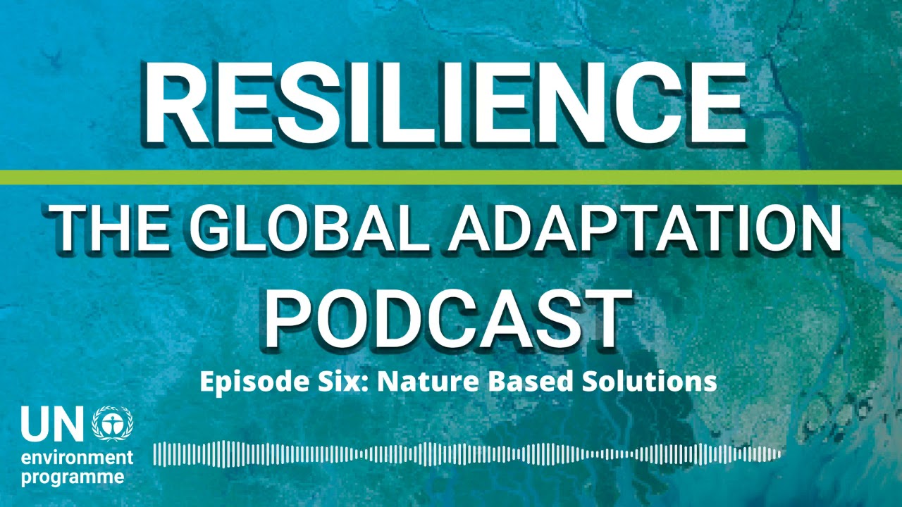 Nature-based Solutions | Resilience: The Global Adaptation Podcast (Ep.6)
