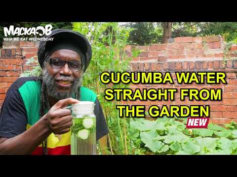 Macka B's Wha Me Eat Wednesdays 'Cucumba Water Straight From The Garden'