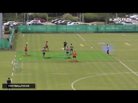 Position Game 3+1 v 3 |  Vfl Wolfsburg
