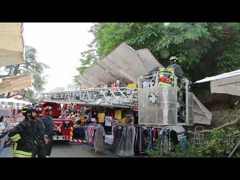 Grosso ramo cade sul mercato, rischio per il pubblico