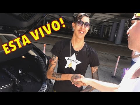 Buscando a Peter La Anguila al aeropuerto