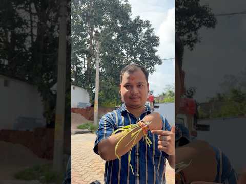 Lipun Kn Gadi Book Kala Daily MiniVlog-57 #viral #minivlog #instagram #royalenfield #tractor #food