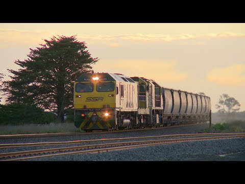SSR 1KN4 Grain Train With RL305, 4904 & BRM001- PoathTV Australian Rail Freight Transport
