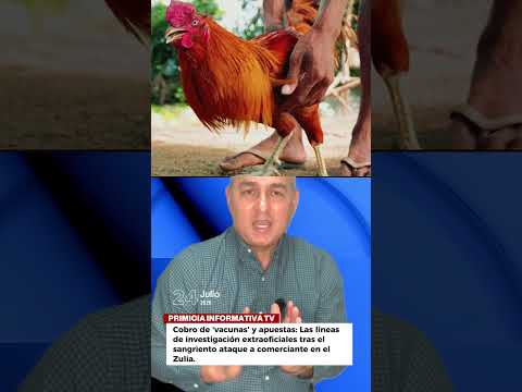 Crimen y secuestro sacuden Jesús Enrique Lossada (Zulia) tras ataque a comerciante. #Zulia #Sucesos