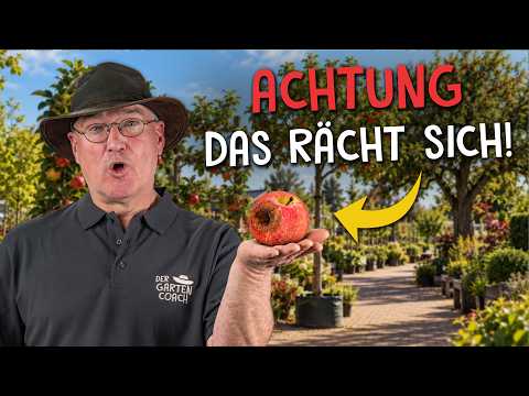 Vermeide diese Apfelbaum-Fehler, um Ernteverluste zu verhindern