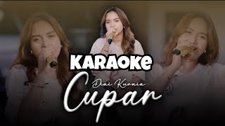 Download lagu Dini Kurnia cupar karaoke  mp3
