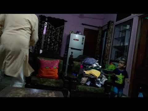 Simba chasing dada or dada chasing simba