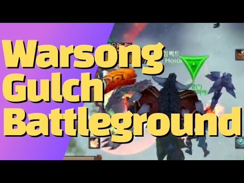 Warsong Gulch Battleground | TBC Classic WOW PvP