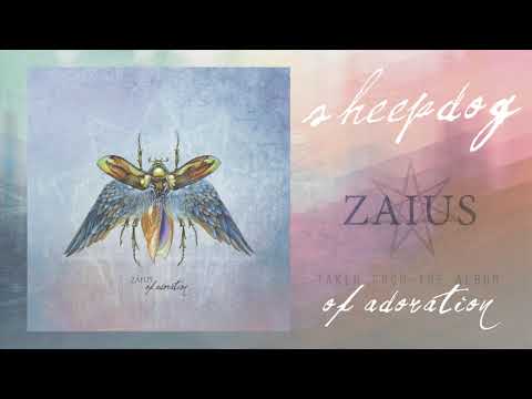 ZAIUS - SHEEPDOG (OFFICIAL VIDEO)