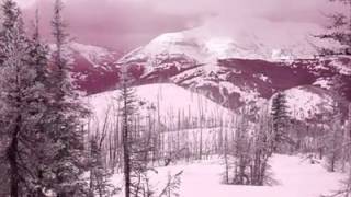 Secret Garden   Searching for the Past