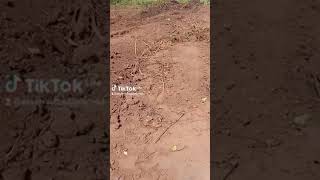 Enjoy Christmas promo