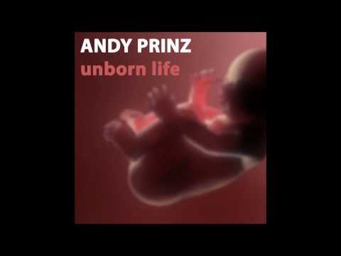 Andy Prinz - Unborn Life