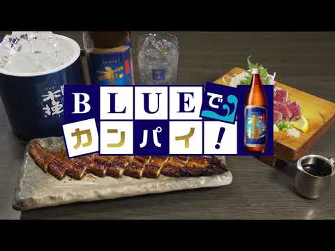 地鶏や肴や鰻やら ここちや本店（じどりやさかなやうなぎやら ここちやほんてん） （日南市）