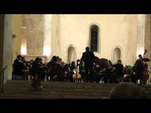 Orchestra I Giovani Accademici - dir. M° Paolo Angelucci