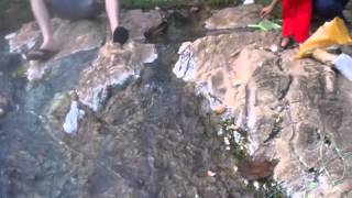 preview picture of video 'Kolam air panas hendrop gua musang'