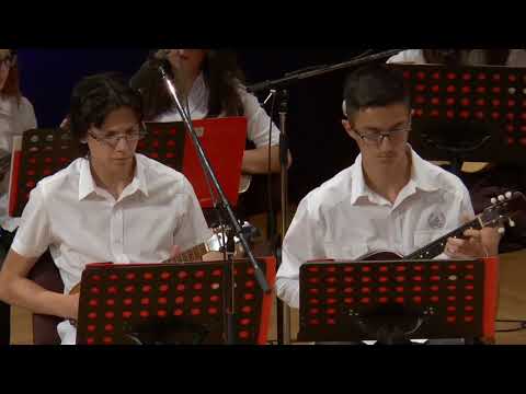 TO KUD-a "Tamburica", Staro Petrovo selo - D.Kopri: BARANJA U DUŠI, J.Magdić: Staroselski splet